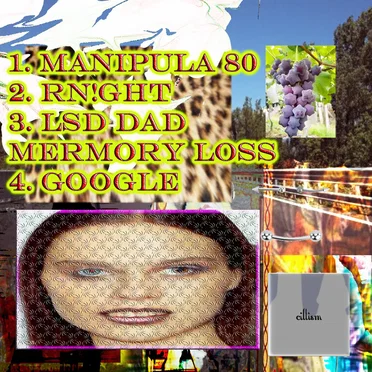 Manipula 80