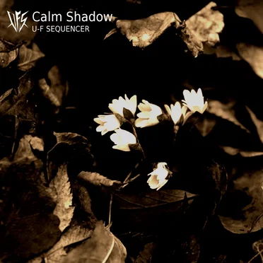 Calm Shadow