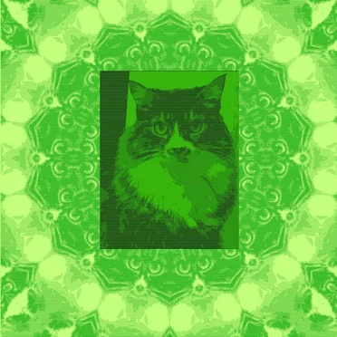 Clover