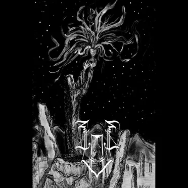 Omniscient Veil by Veiled - album cover
