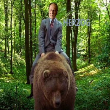 herzog by The Tuesday Treacles - album cover