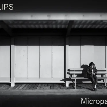 Microparticles