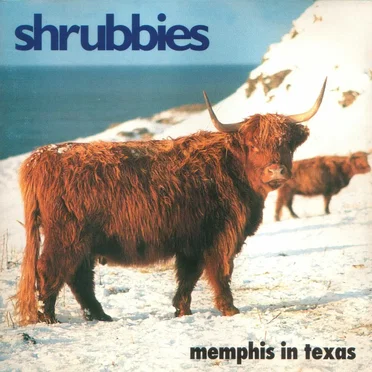 memphis in texas by Shrubbies - album cover
