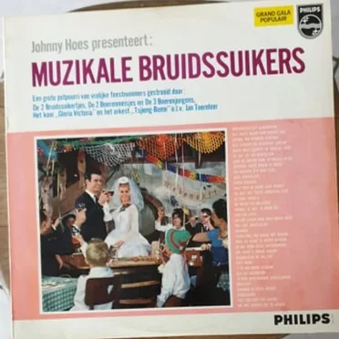 Johnny Hoes presenteert: Muzikale bruidssuikers by Various Artists - album cover