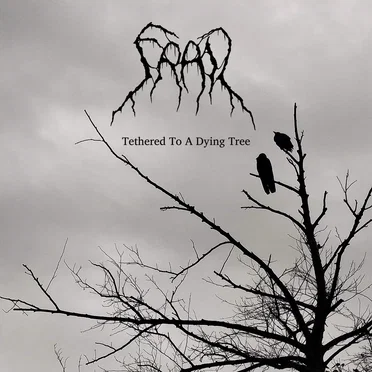 Tethered to a Dying Tree