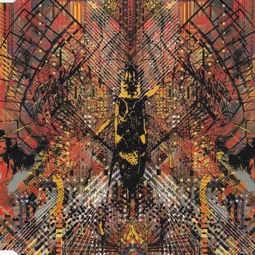 Live in Chicago 6/11/03