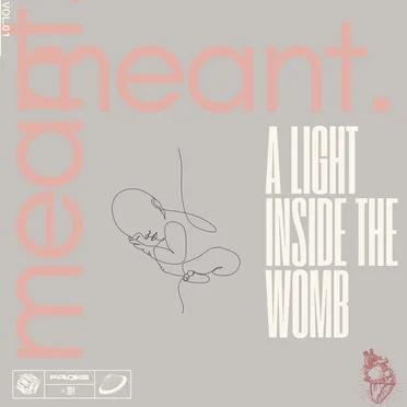 a light inside the womb