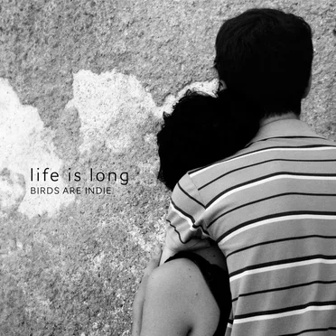 Life Is Long by Birds Are Indie - album cover