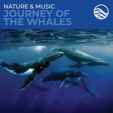 Journey of the Whales