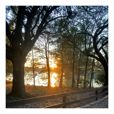 All Around Alienated by crying chiyo - album cover