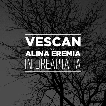În Dreapta Ta by Vescan - album cover