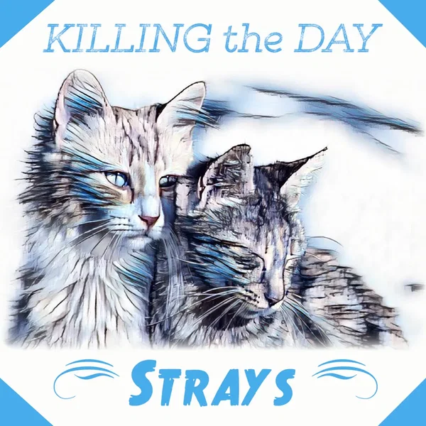 Strays