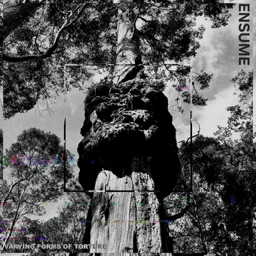 Varying Forms of Torture by Ensume - album cover