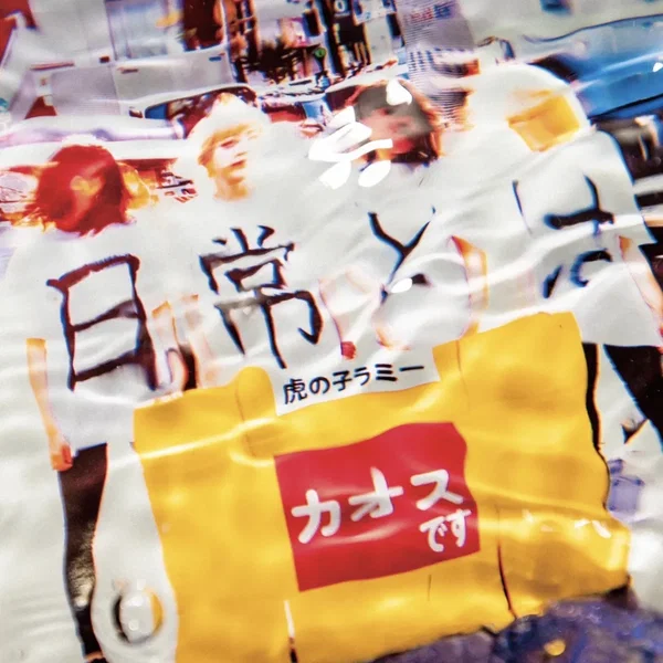 Q.日常とはA.カオスです
