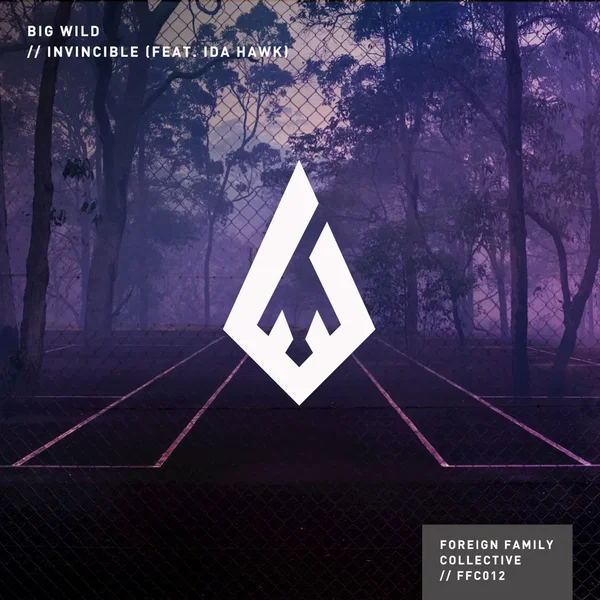 Invincible (remixes)