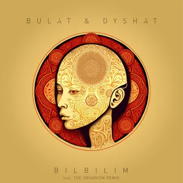 Bilbilim