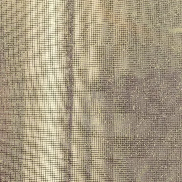 Future When It Comes