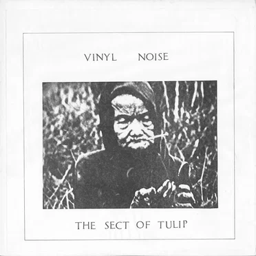 VINYL NOISE by The Sect of Tulip - album cover