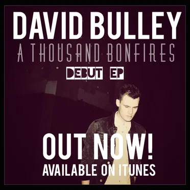 A Thousand Bonfires by David Bulley - album cover