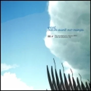 Bitch Aint No Ninja by Moof - album cover