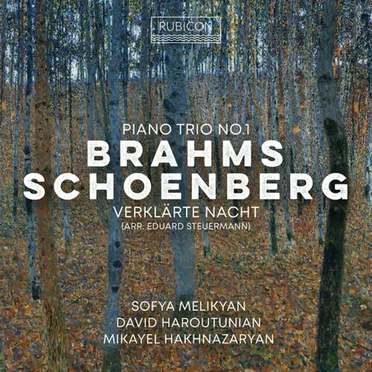 Brahms: Piano Trio no. 1 / Schoenberg/Steuermann: Verklärte Nacht