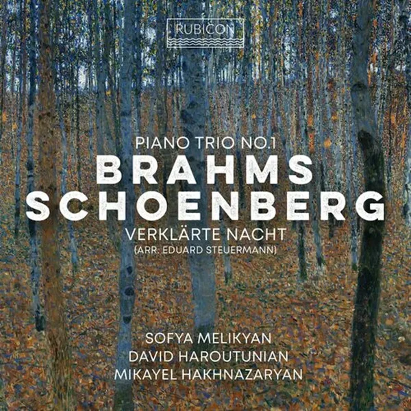 Brahms: Piano Trio no. 1 / Schoenberg/Steuermann: Verklärte Nacht