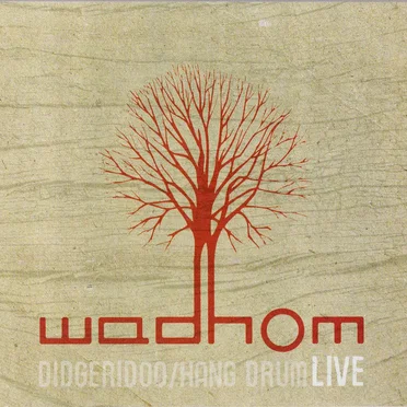 Didgeridoo : Hang Drum