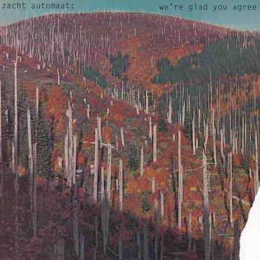 We're Glad You Agree by Zacht Automaat - album cover
