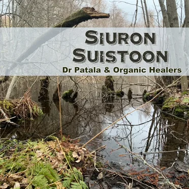 Siuron Suistoon by Dr Patala & Organic Healers - album cover