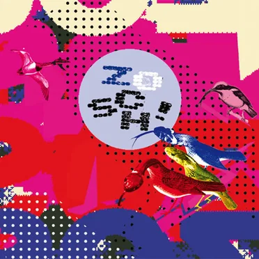 zOSCH! 7'' by zOSCH! - album cover