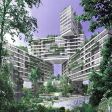 The Interlace