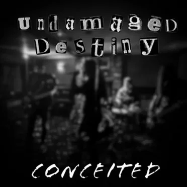 Undamaged Destiny