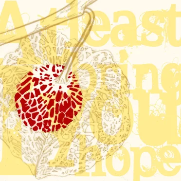 At Least I Bring You Hope by Various Artists - album cover