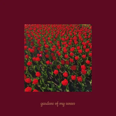 Gardens of My Senses