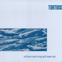 Tortoise artist image