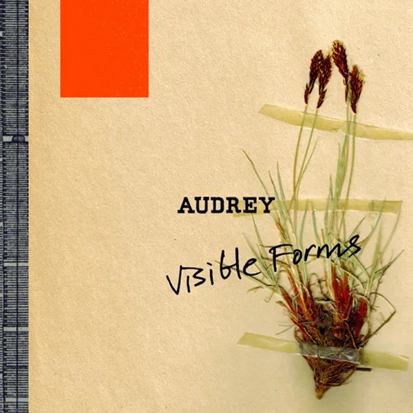 Visible Forms