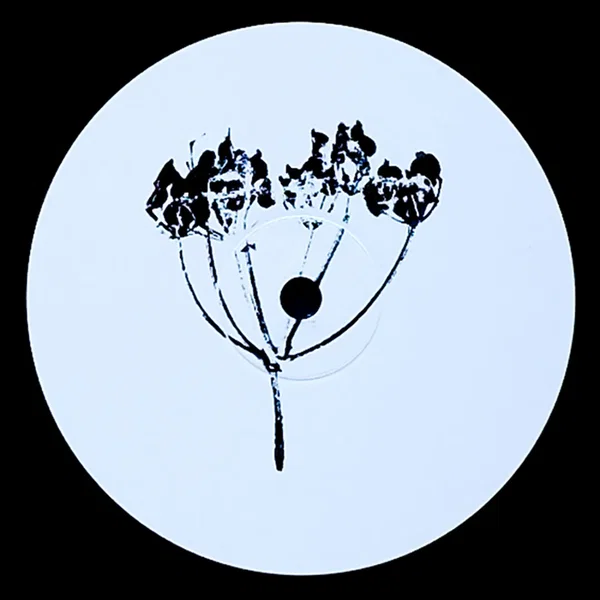 Plangent #011