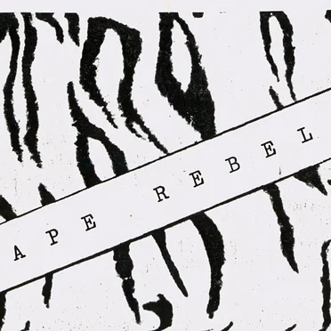 Tape Rebel 11 by Various Artists - album cover