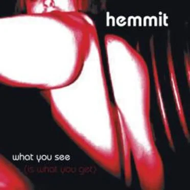 What You See (Is What You Get) by Hemmit - album cover