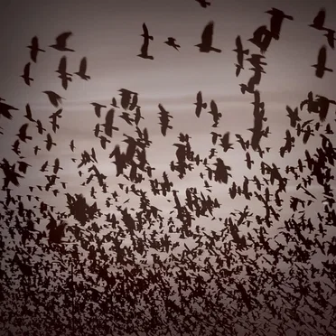 The Rocks That Tear the Ocean