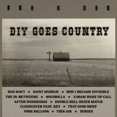DIY Goes Country by Various Artists - album cover
