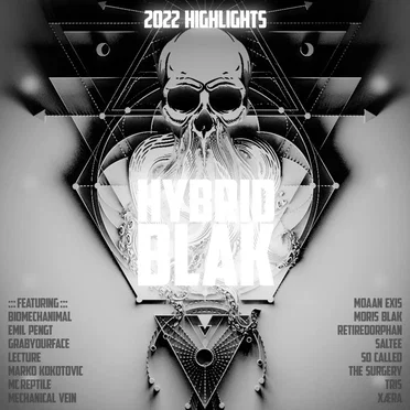 HYBRID BLAK : 2022 Highlights by Various Artists - album cover