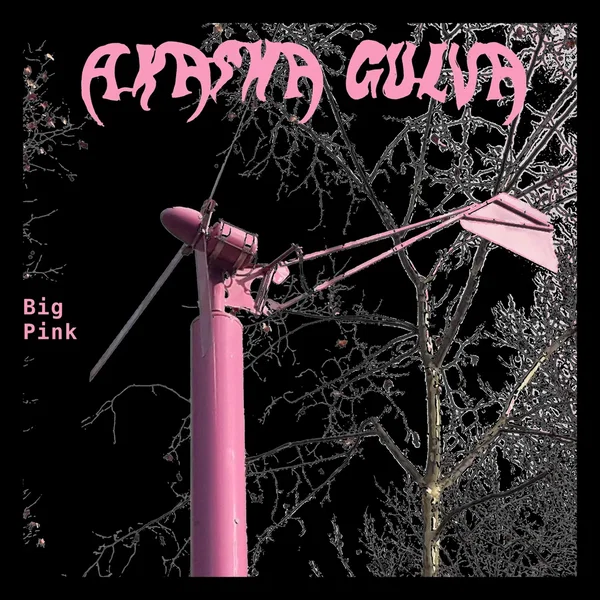 Big Pink