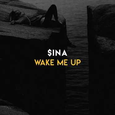 Wake Me Up