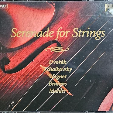 Serenade for Strings