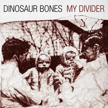 My Divider by Dinosaur Bones - album cover