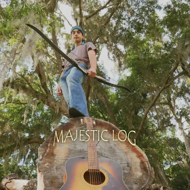 Majestic Log by DreamerJazz - album cover