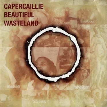 Beautiful Wasteland