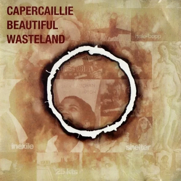 Beautiful Wasteland