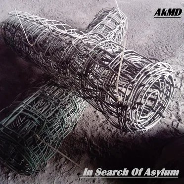 In Search of Asylum